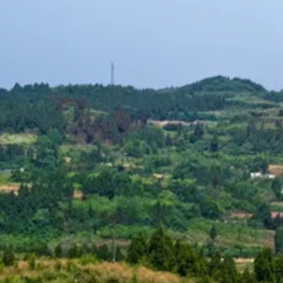 davidWeil107's profile picture. 