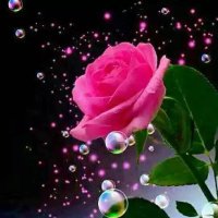 رستم محمدی (@khalqyarnwrallh) 's Twitter Profile