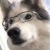 Two Kazakhstan (@xieppx) Twitter profile photo Two Kazakhstan (@xieppx) Twitter profile photo