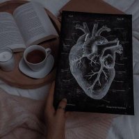 Shahd Khorshed (@korshedshahd) 's Twitter Profile