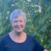 Susanne Kurz (@susannekurz2) Twitter profile photo Susanne Kurz (@susannekurz2) Twitter profile photo