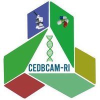 CEDBCAM-RI(@cedbcam_ri) 's Twitter Profile Photo