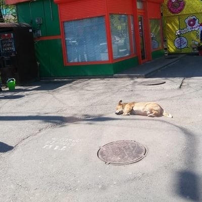 gmBxJfBNoL1KJCQ's profile picture. 맛집여행