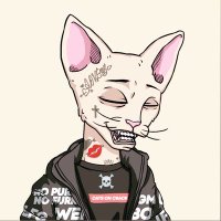 Kitty NFT (@nft_kittycat) 's Twitter Profile Photo Kitty NFT (@nft_kittycat) 's Twitter Profile Photo