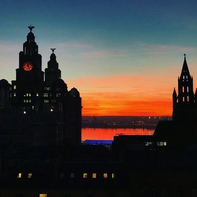 evagreenvic's profile picture. 