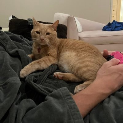 AmandaF6401's profile picture. Sick of temporary fixes, I want more & without God I am no one #myonlyaccount 🇺🇸