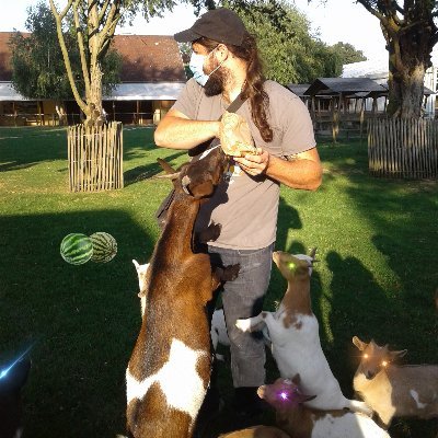 Gabipaydia's profile picture. Bioinformatics PhD. RPG player and GM.
Rédacteur Jeux Vidéo et News chez Pokébip.
TW #SpiderIsBeautiful pour les phobiques.
#ContrepetMaison #IgNobel