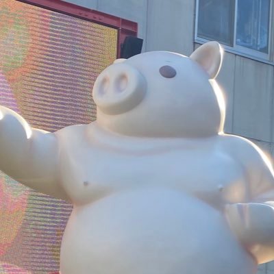 eojoy_nurse's profile picture. 110回国家試験合格💮 循環器ナース🫀