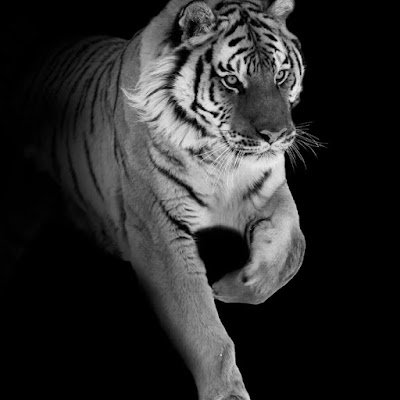 studyadda15's profile picture. 