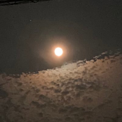 こかげさんのプロフィール画像