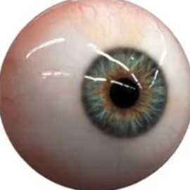 MinnyChaudhry's profile picture. 