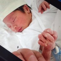 弁護士♥シタ妻♥裏垢♥遺言書🌸完全犯罪🌸実子誘拐🌸単独親権🌸刑法224条🌸生活保護 (@rt1dj0d5h3yvx) 's Twitter Profile