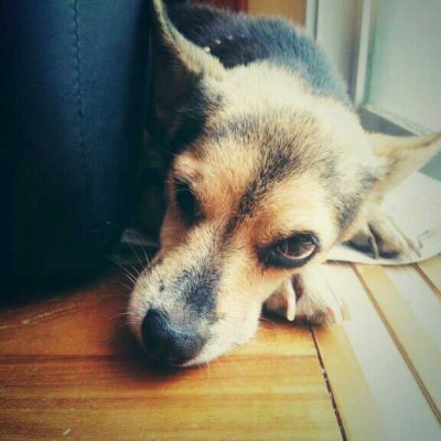 yasu_oois's profile picture. SUNABACO コザ15期/昼コース受講
元PG/SE
@sssizecmD 嫁ちゃん

嫁の勧めでSUNABACOに通い始める