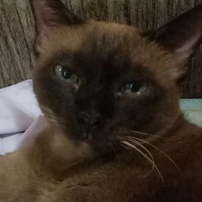 notbitchbutwant's profile picture. อยากรวย