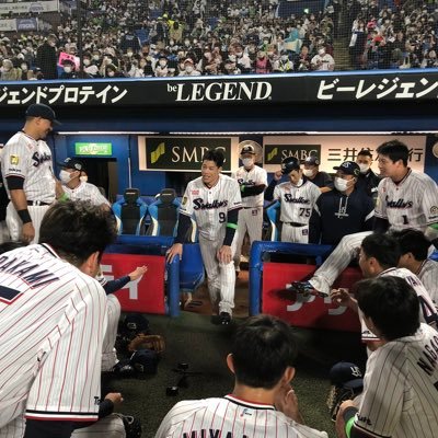 ヤクルトファンです！現地16戦15勝1敗 川端慎吾が好きです！