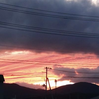 藤岡さんのプロフィール画像
