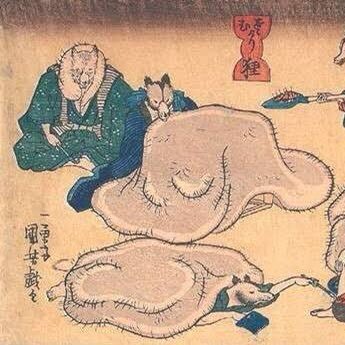 commanderNanase's profile picture. 綺麗だって言ってよ！！！