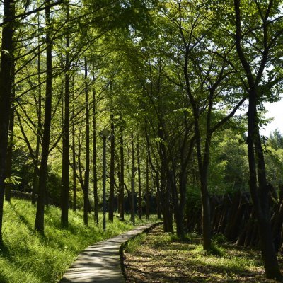 gimjiny36242504's profile picture. Let's protect the environment
We can