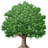 oakjuice's profile image