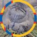 болотный кот 🐈🏳️🌈 🏳️⚧️ (@alek_i_amasa) Twitter profile photo болотный кот 🐈🏳️🌈 🏳️⚧️ (@alek_i_amasa) Twitter profile photo