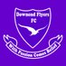 Downend Flyers FC (@DownendFlyersFC) Twitter profile photo