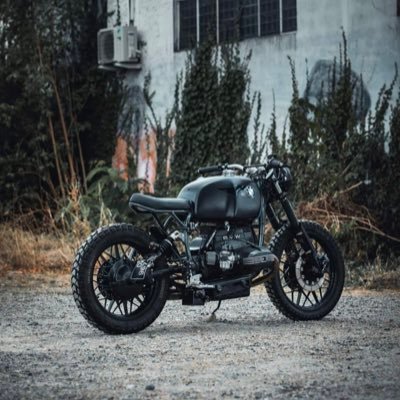 fafa93617557's profile picture. 