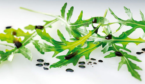 TXRoquette's profile picture. Dog, Music & Life Lover! Happily married to my best friend!