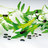 TXRoquette's profile image