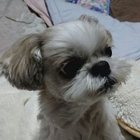 ひろちゃん (@minihiro26mark2) 's Twitter Profile