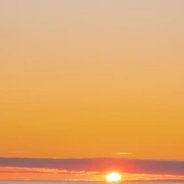 morsicus777's profile picture. @OnomyProtocol 🌊
"| Fuelet"