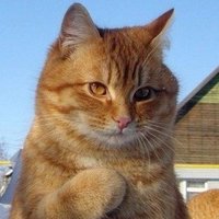 Mr Tedy (@mrtedy11) 's Twitter Profile