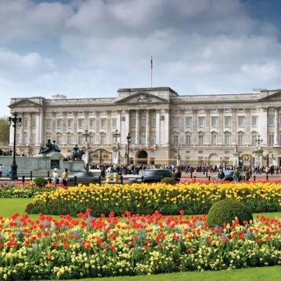 watcher_house's profile picture. 