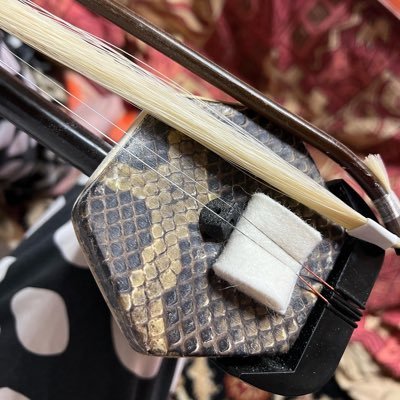 nikoofunato's profile picture. 岩手大船渡在住、中国ﾄﾞﾗﾏ大好物。昔々に触れた二胡。弾きたいなぁ…中国楽器｢二胡｣。習ってみたいけど、教室は岩手県内陸部の盛岡中心ばかりで、沿岸部からは遠い…。今回、指導してくださる方とのご縁が繋がりましたので、岩手県大船渡市で二胡サークル「ワタシノoto」はじめました！詳細お問い合わせはDMお願いいたします。