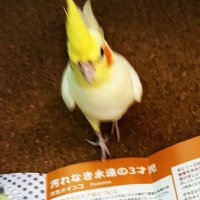 pon (@clgkutgyajxeyg7) 's Twitter Profile Photo pon (@clgkutgyajxeyg7) 's Twitter Profile Photo