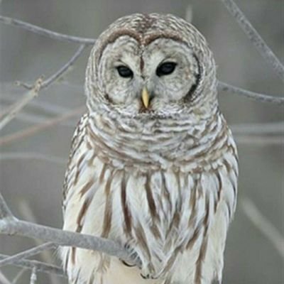 6217ea442d094fd's profile picture. 