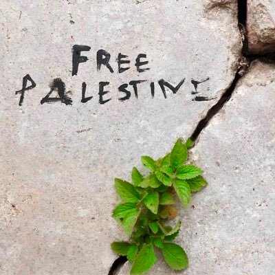 Alive Palestine