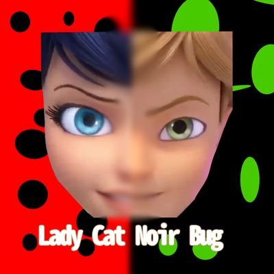 SPOILERS LADY BUG AND CAT NOIR
Dream:100 follow a Twitter