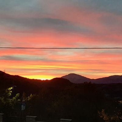 MarioPapa56's profile picture. 