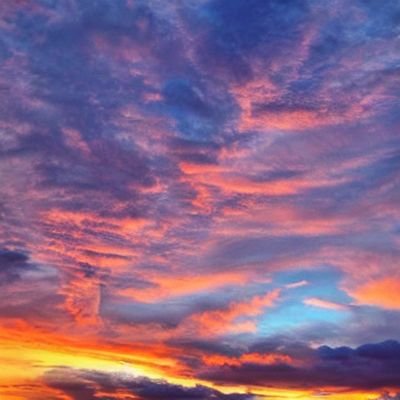 k0l0__yve's profile picture. 考えるひとつの青い照明