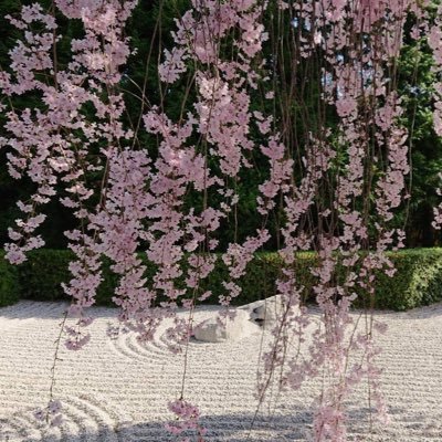 ingugi_ikumin's profile picture. ルイの古本屋前어떡하지ポッポシーンが胸に残り調べるうちにSeoInGukペンに😍💕 グクペンさんと繋がりたいです💕6月23日でグクペン4年生になりました。宜しくお願いします。無言フォローお許しください🙇‍♀️