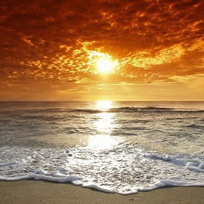 bwwr21753574's profile picture. 