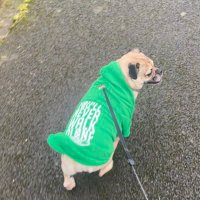 deeets (@paulmul21047006) 's Twitter Profile