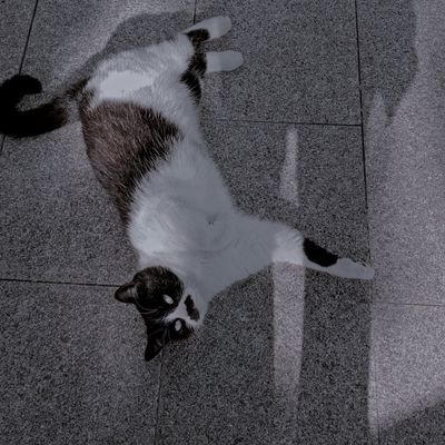 happy_Larkspur's profile picture. 📼✒