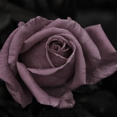 fashionfabtab's profile picture. A girl on the brink of fashion