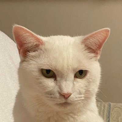 Yumii🐈さんのプロフィール画像
