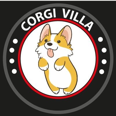 🐕Sharing Corgi Happiness on #Corgi_Villa
💙Follow for daily Corgi posts
🐾Life is good, Corgi makes it better
💓Page Dedicated to all Corgi Lovers