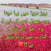 گِیلی مٹی ہوں، ترے چاک پہ رکھی ہوئی ہوں۔ (@mohsan94154499) Twitter profile photo گِیلی مٹی ہوں، ترے چاک پہ رکھی ہوئی ہوں۔ (@mohsan94154499) Twitter profile photo