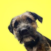 Bruce The BT(@BestKindBruce) 's Twitter Profile Photo