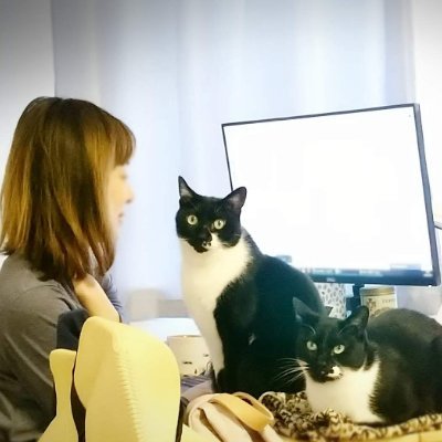 ホリスティック獣医Sara🌿Podcaster & YouTuber 🇬🇧🇯🇵さんのプロフィール画像