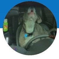 GooningNimrod (@sirflapsalot420) 's Twitter Profile